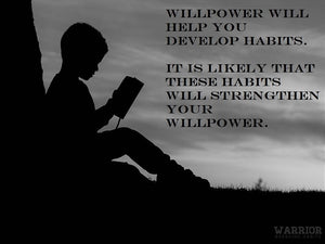 Willpower and habits