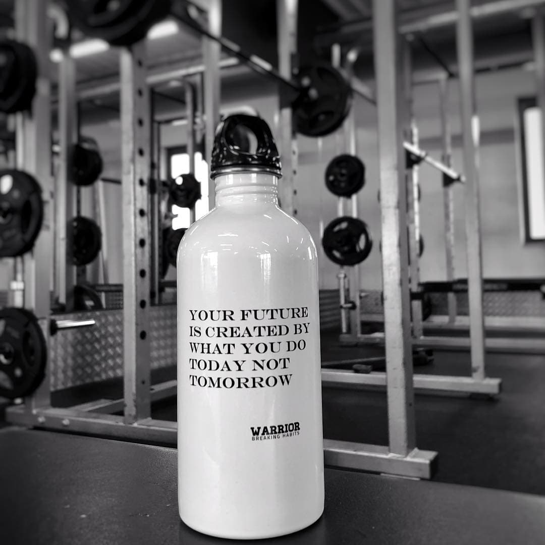 The Warrior's Stainless Steel Water Bottle Mug Printify Your future is created by what you do today not tomorrow 